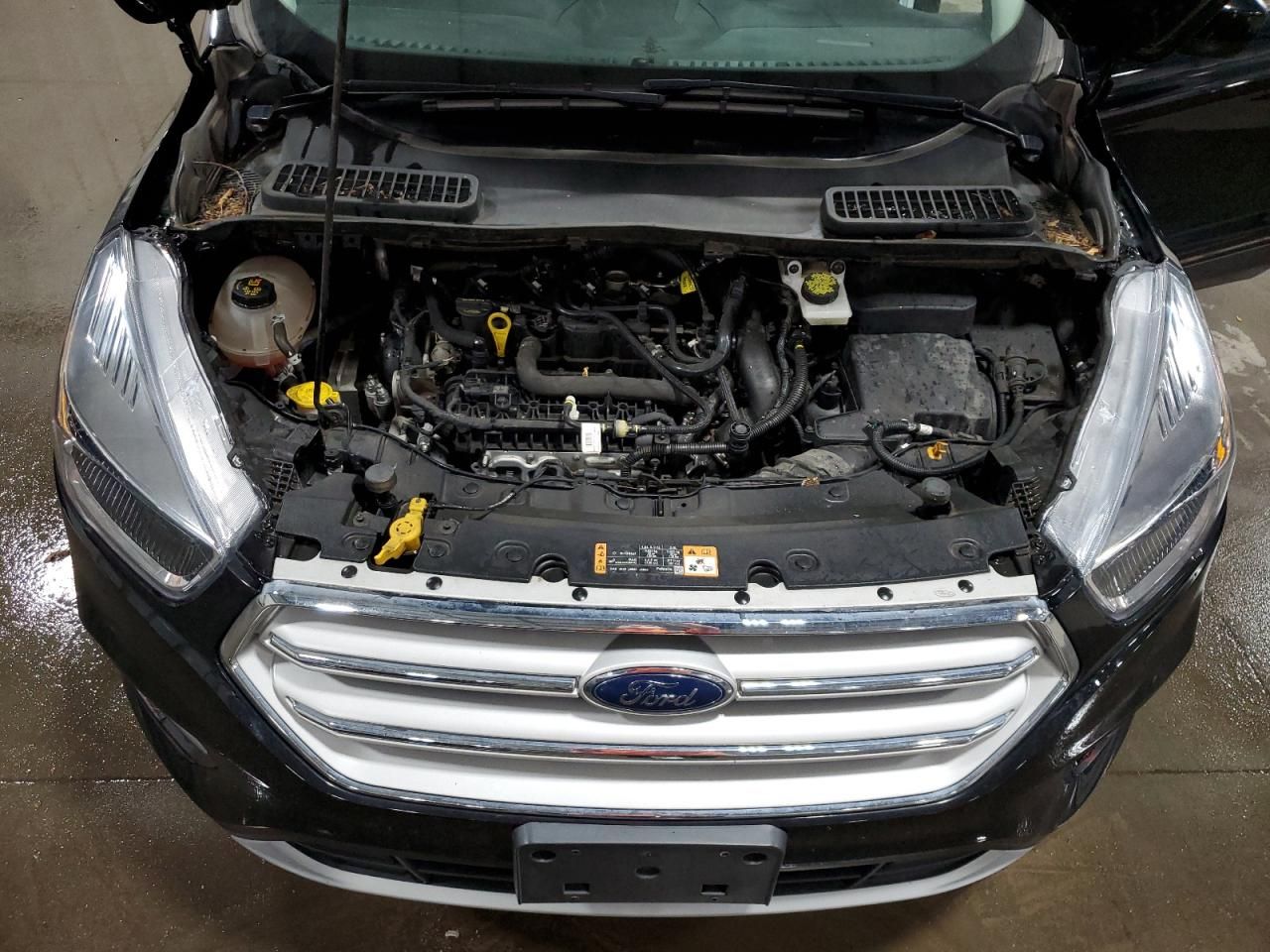 2019 Ford Escape se