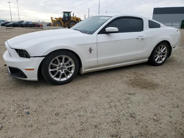 2013 Ford Mustang