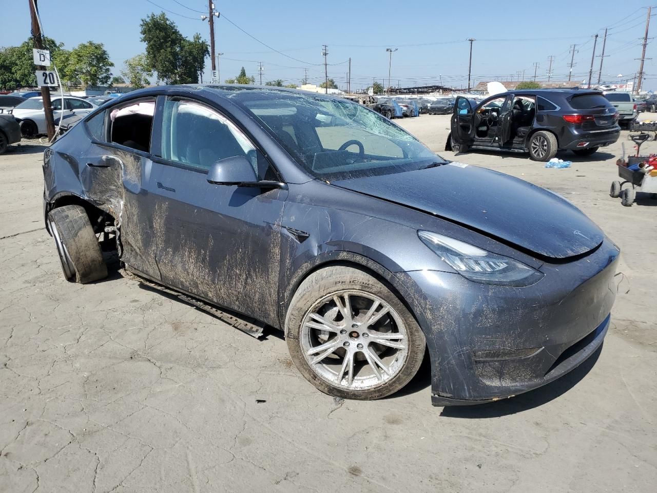 2023 Tesla Model y