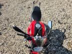 2010 Ducati Monster 696