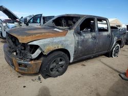 Salvage trucks for sale at Brighton, CO auction: 2009 Dodge RAM 1500