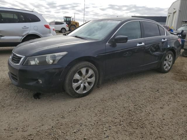 2008 Honda Accord EXL