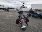 2005 Harley-Davidson Flsts