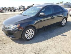 KIA salvage cars for sale: 2013 KIA Forte EX