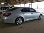 2008 Lexus LS 460
