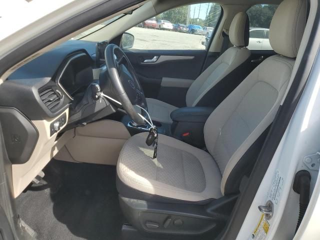 2020 Ford Escape se Sport