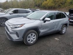 2025 Toyota Rav4 LE for sale in Marlboro, NY