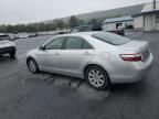 2009 Toyota Camry Hybrid