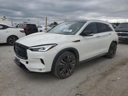 2021 Infiniti QX50 Luxe for sale in Indianapolis, IN