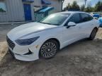 2021 Hyundai Sonata Hybrid