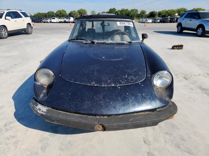 1977 Alfa Romeo Spider