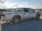 2004 Dodge Dakota Quad Sport