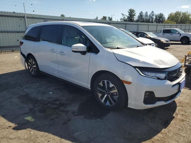 2025 Honda Odyssey EXL