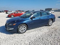 2020 Chevrolet Malibu LT for sale in Taylor, TX
