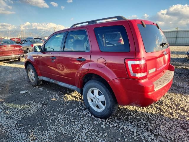 2010 Ford Escape XLT