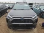 2024 Toyota Rav4 xse