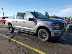 2025 Ford F150 XLT