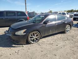 Salvage cars for sale from Copart Indianapolis, IN: 2010 Nissan Maxima S