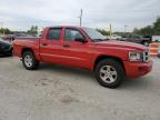 2011 Dodge Dakota slt