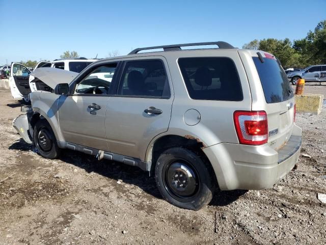 2010 Ford Escape XLT