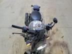 2023 Honda CMX1100 D