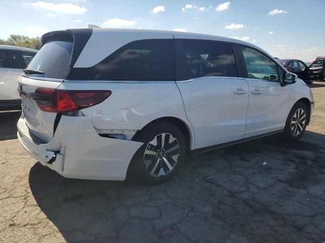 2025 Honda Odyssey EXL