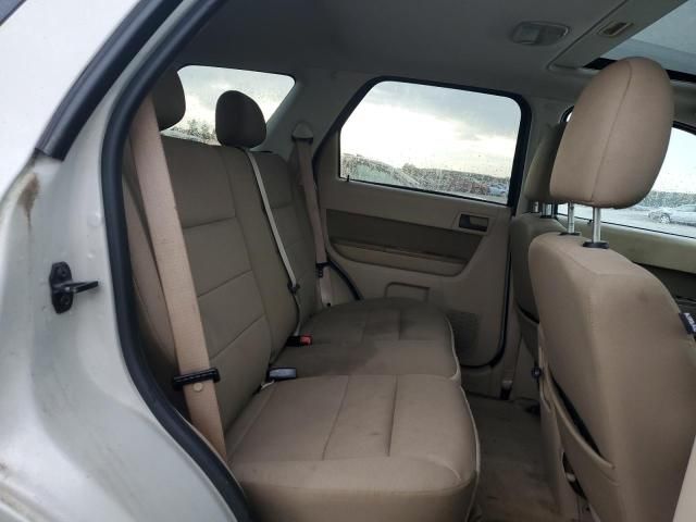2009 Ford Escape XLT