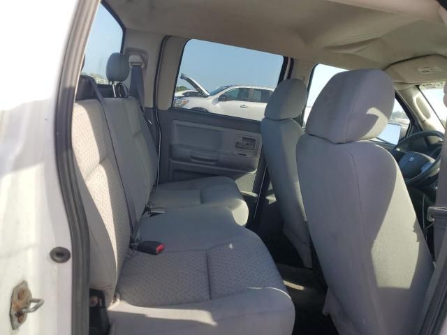 2008 Dodge Dakota SXT