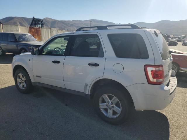 2008 Ford Escape HEV