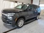 2025 Chevrolet Tahoe K1500 LT