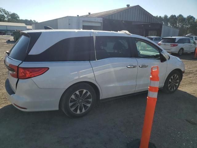 2024 Honda Odyssey exl