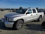 2006 Dodge Dakota Quad slt