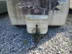 2010 Nomad Travel Trailer
