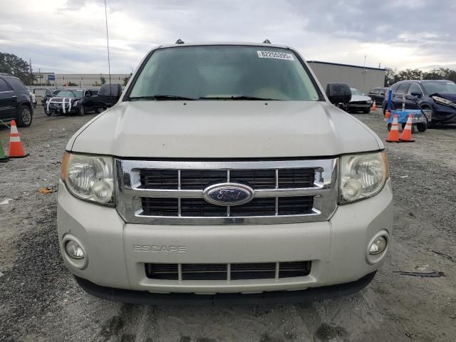 2009 Ford Escape XLT