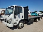 2025 Isuzu NPR HD