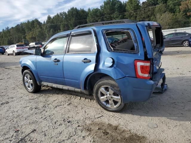 2009 Ford Escape XLT