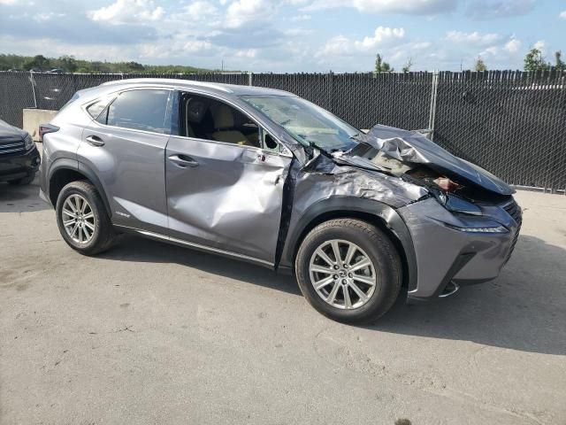 2020 Lexus NX 300H