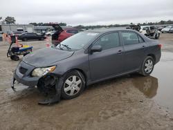 Salvage cars for sale from Copart Harleyville, SC: 2010 Toyota Corolla Base