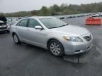 2009 Toyota Camry Hybrid