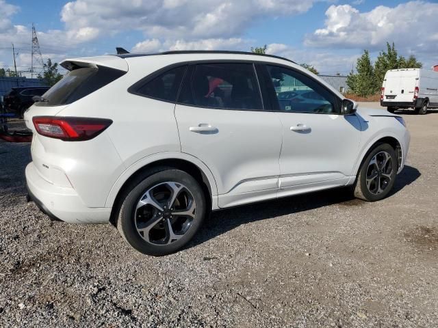 2024 Ford Escape ST Line Select