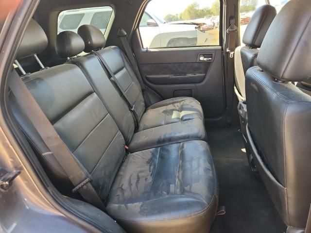 2009 Ford Escape Limited
