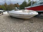 2001 Sea Ray Boat-Outboard Engine