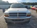 2001 Dodge Dakota