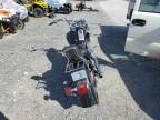 2001 Indian Motorcycle Co. Spirit