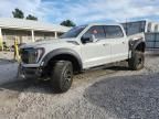2023 Ford F150 Raptor