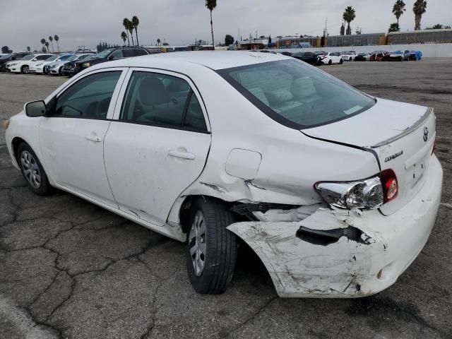 2010 Toyota Corolla Base