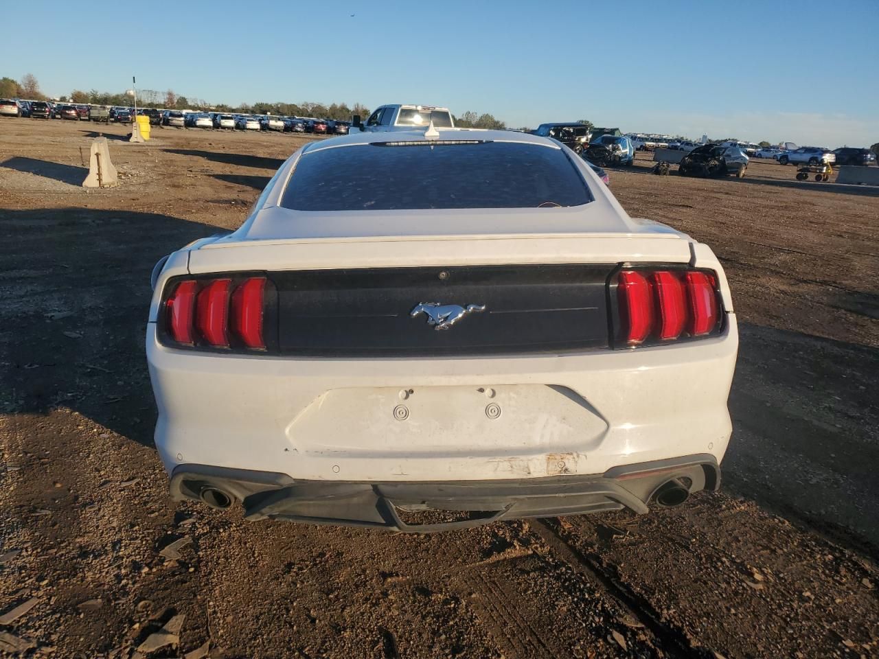 2021 Ford Mustang