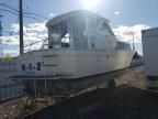 1968 Chris Craft Boat