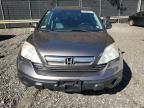 2009 Honda Cr-v exl