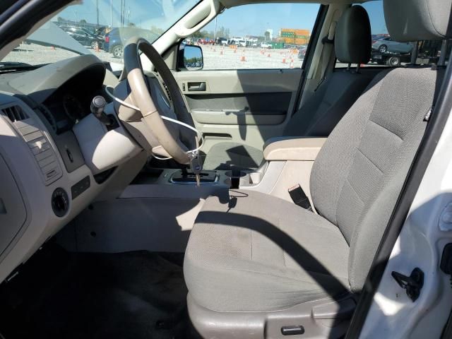 2009 Ford Escape XLT